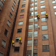 Renovación de Ladrillo